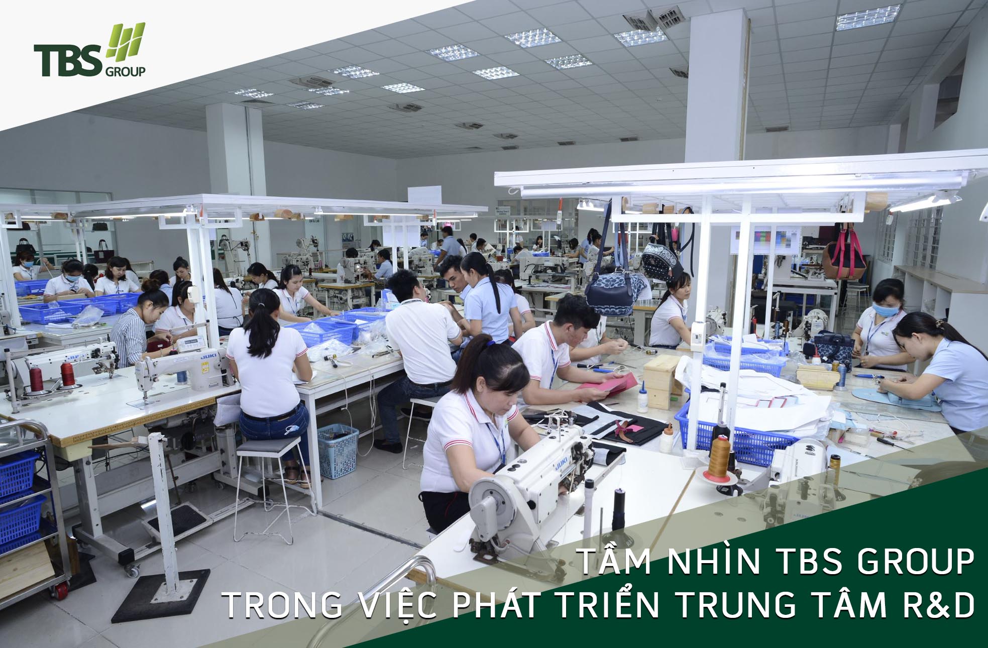 Tầm nhìn TBS Group trong việc phát triển R&D – Yếu tố thành công của mọi doanh nghiệp